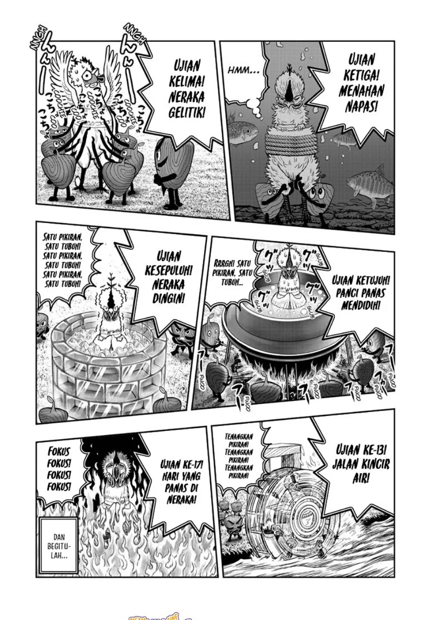 Rooster Fighter Chapter 50 - halaman 23