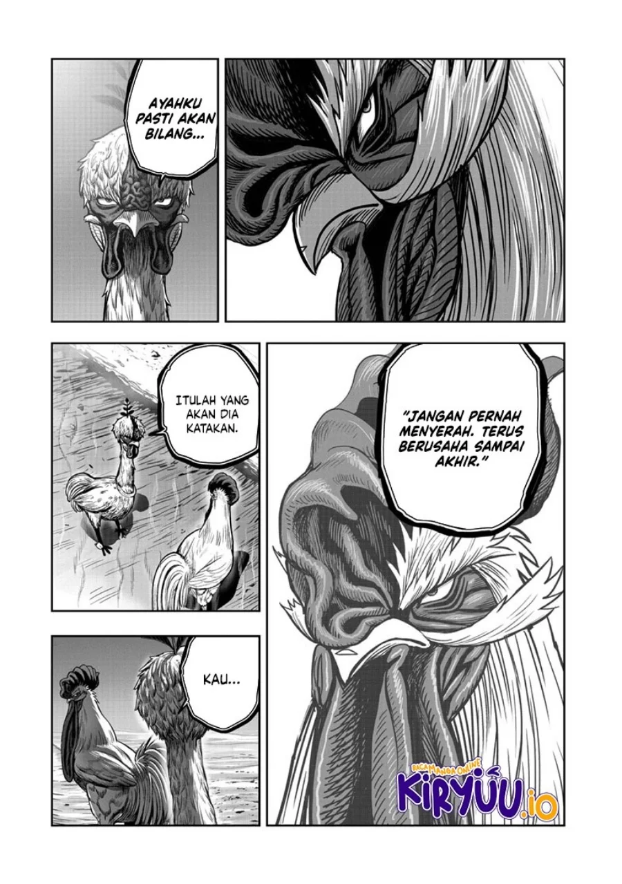 Rooster Fighter Chapter 50 - halaman 35