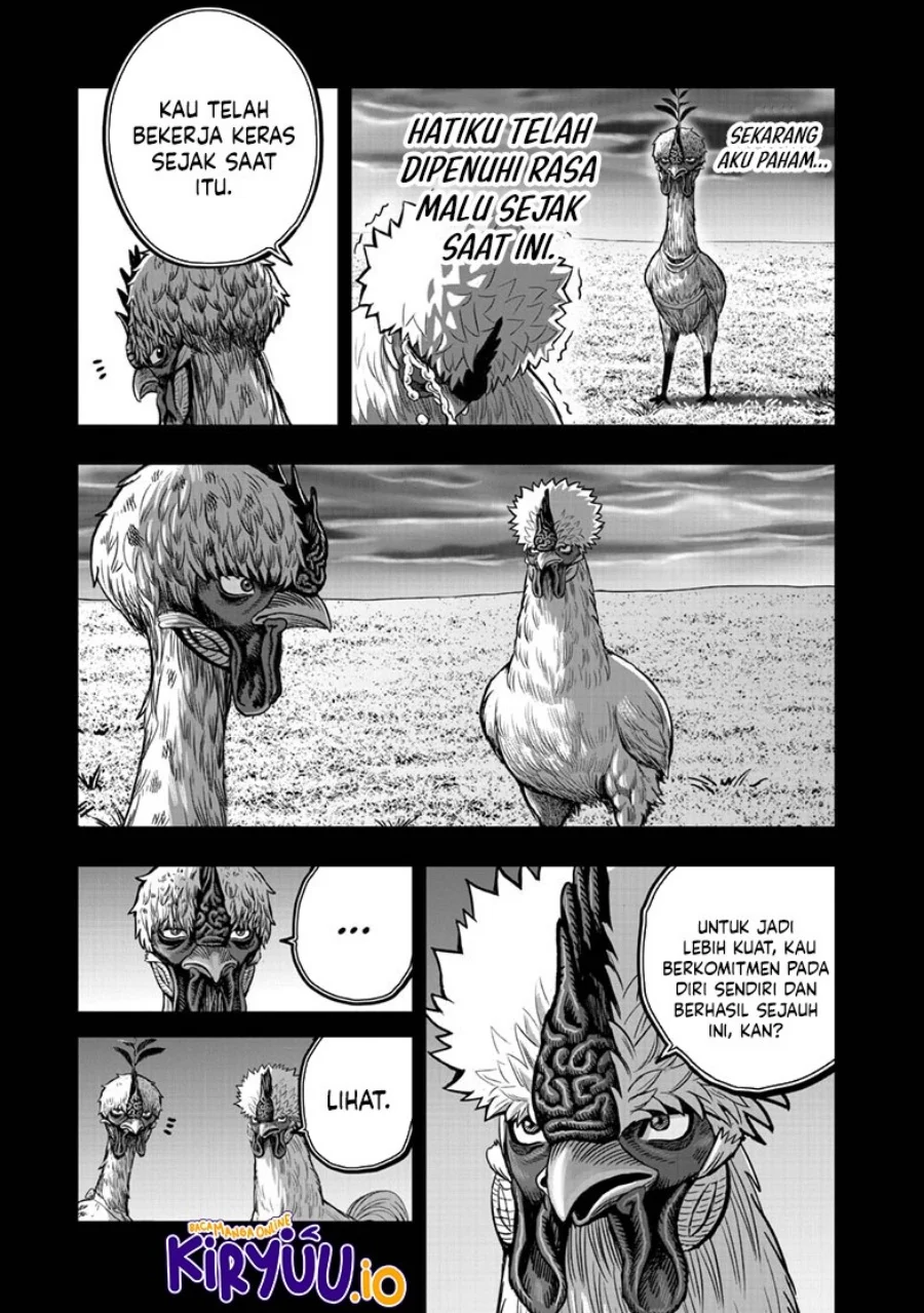 Rooster Fighter Chapter 50 - halaman 43
