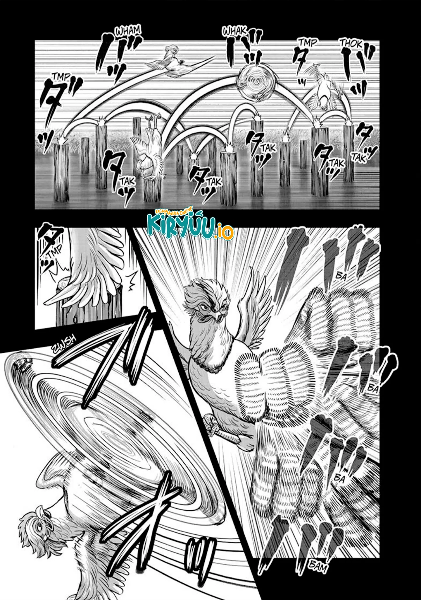Rooster Fighter Chapter 51 - halaman 16