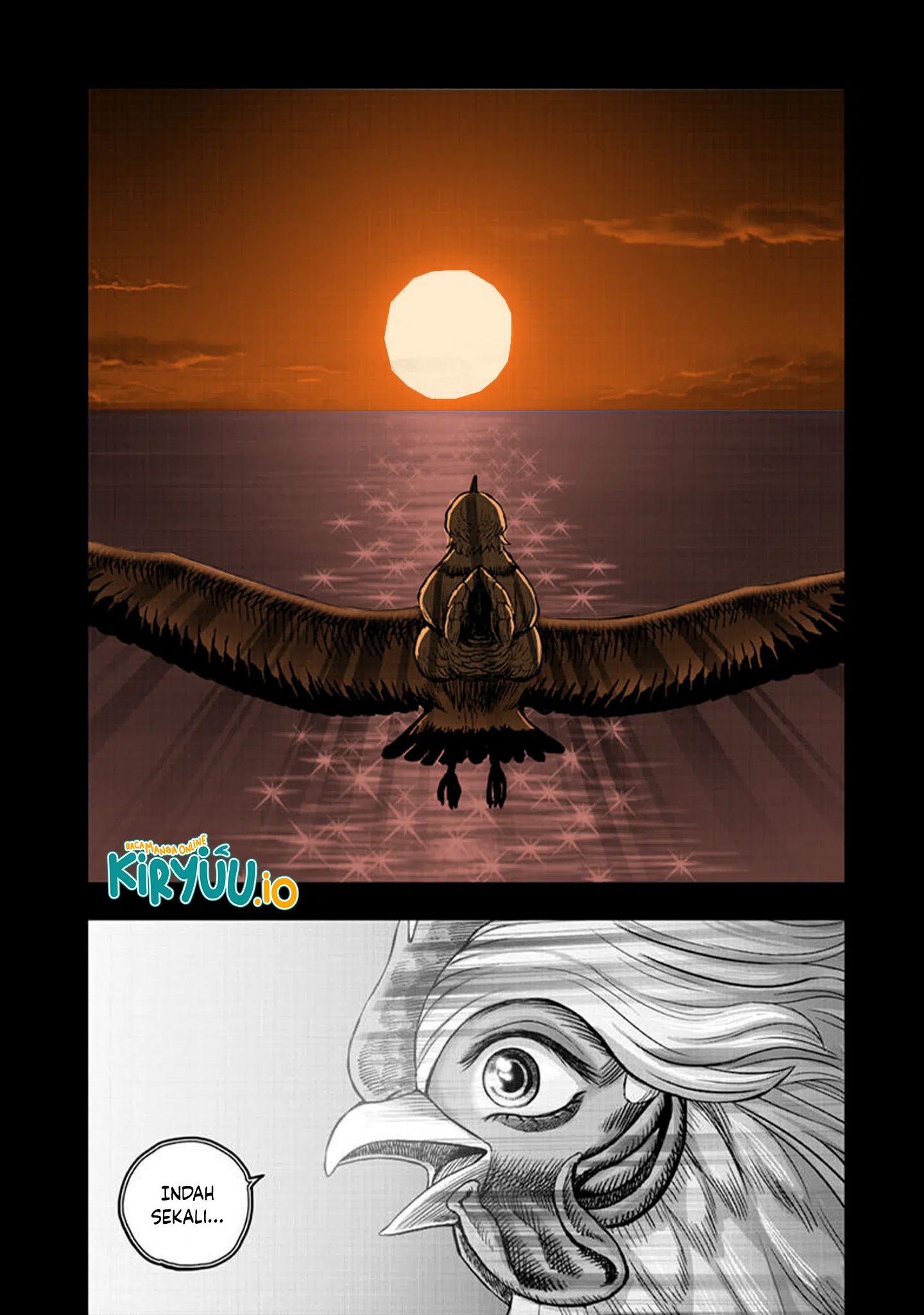 Rooster Fighter Chapter 51 - halaman 41