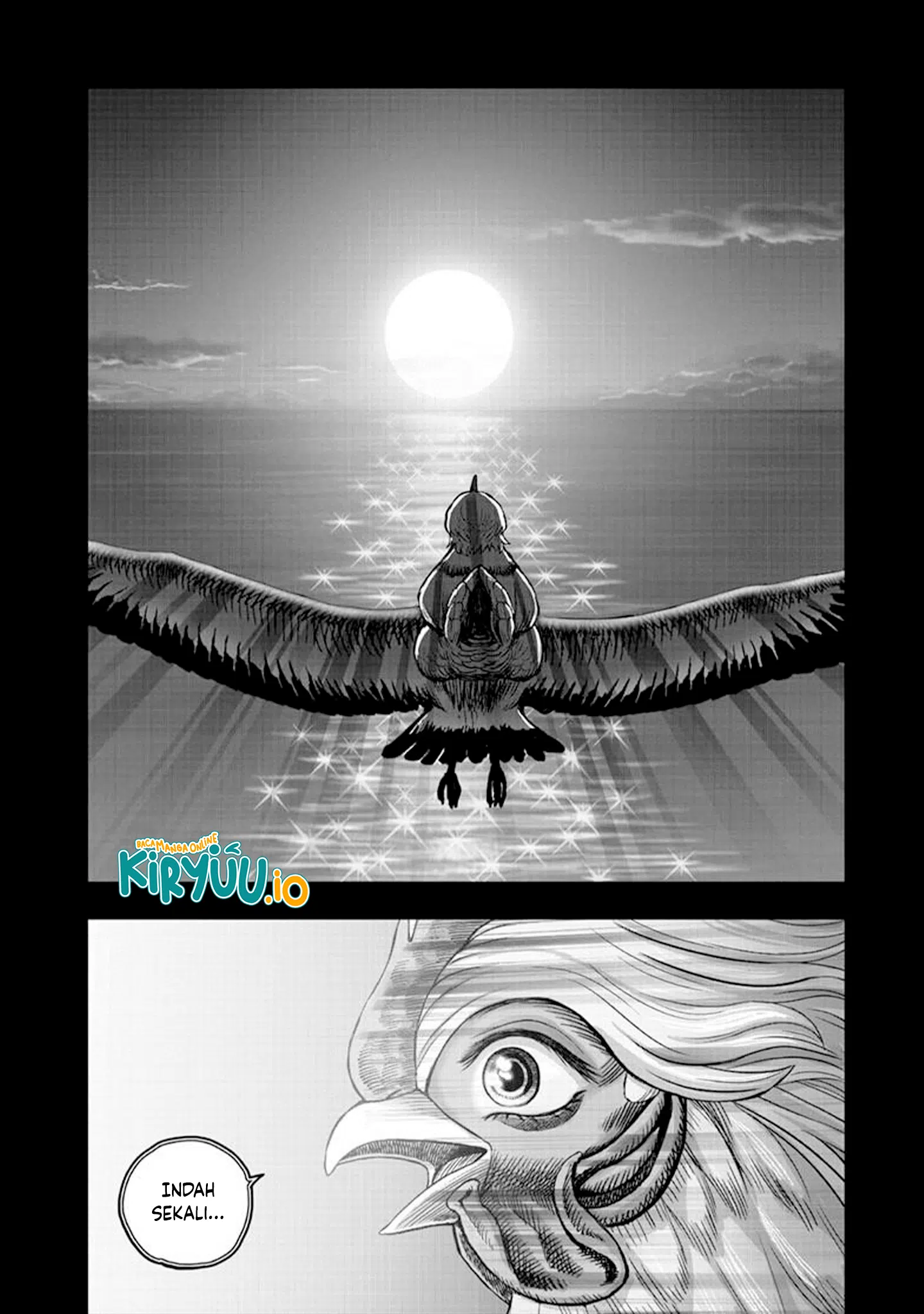 Rooster Fighter Chapter 51 - halaman 42