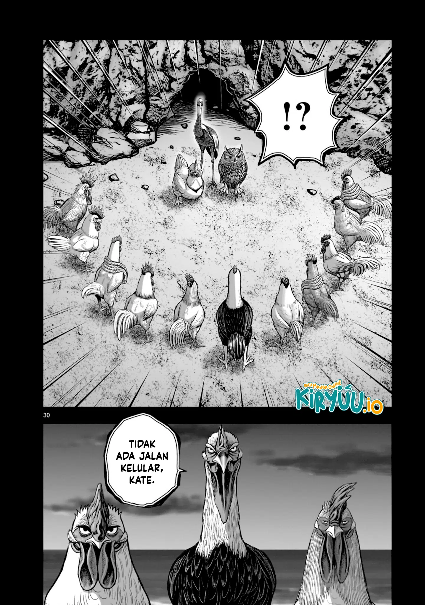 Rooster Fighter Chapter 52 - halaman 31