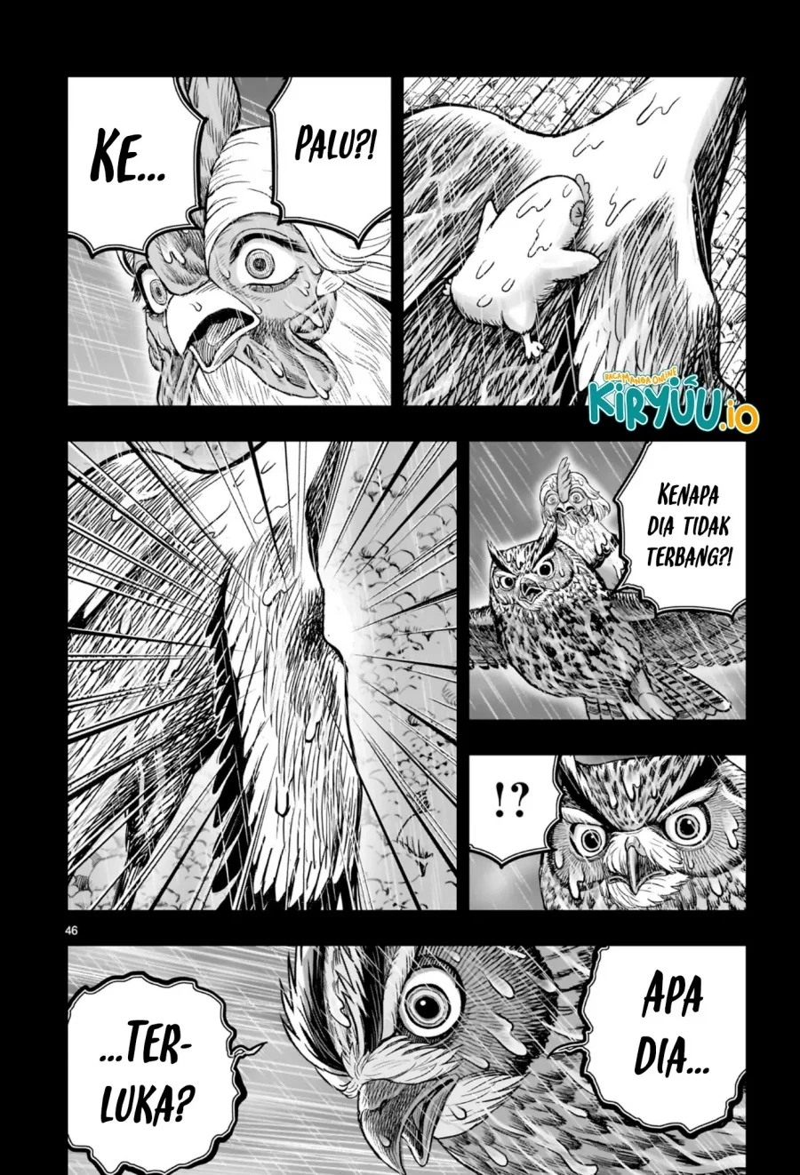 Rooster Fighter Chapter 53 - halaman 41