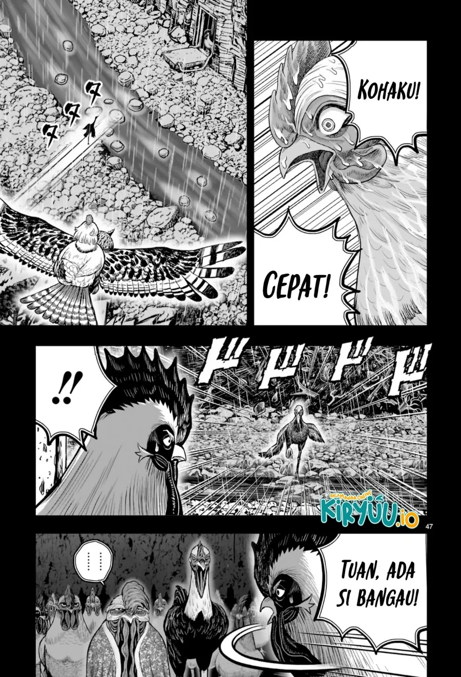 Rooster Fighter Chapter 53 - halaman 42