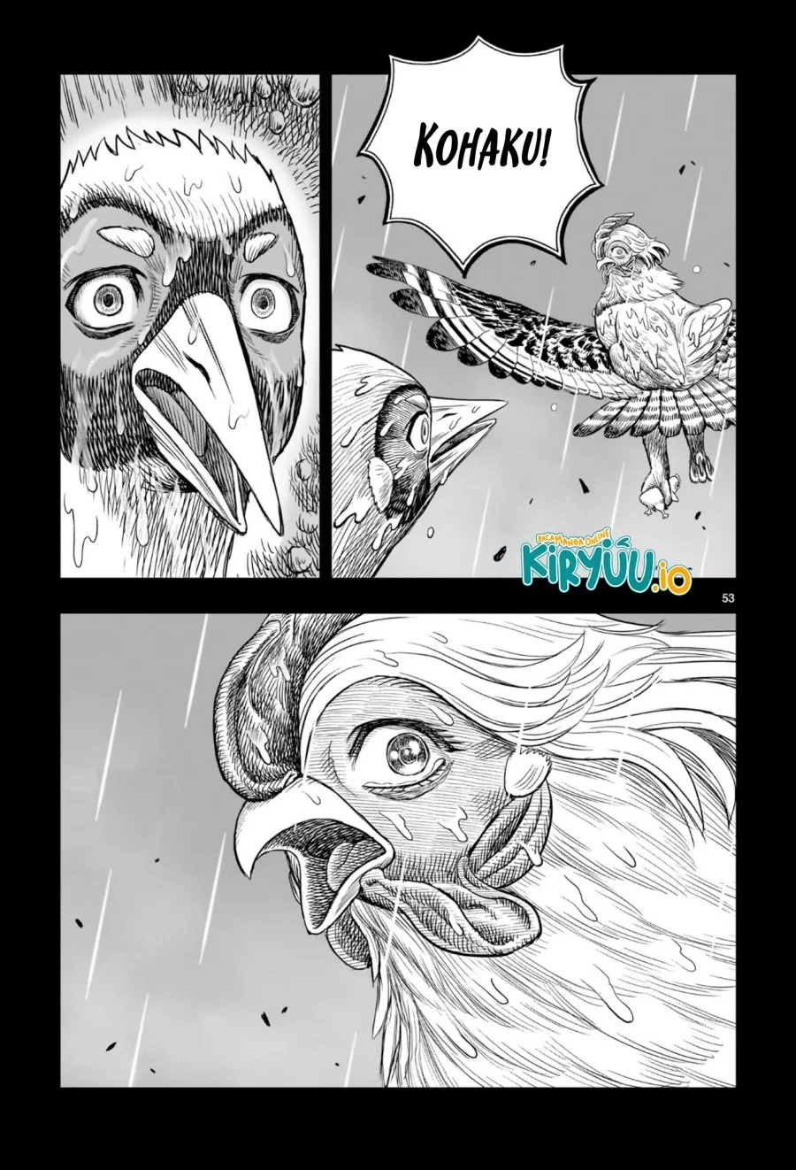 Rooster Fighter Chapter 53 - halaman 48