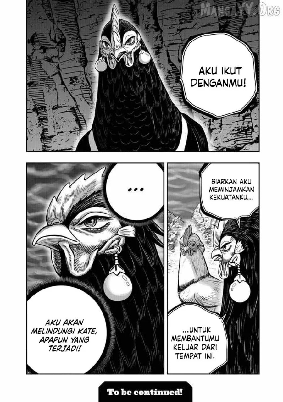 Rooster Fighter Chapter 55 - halaman 29
