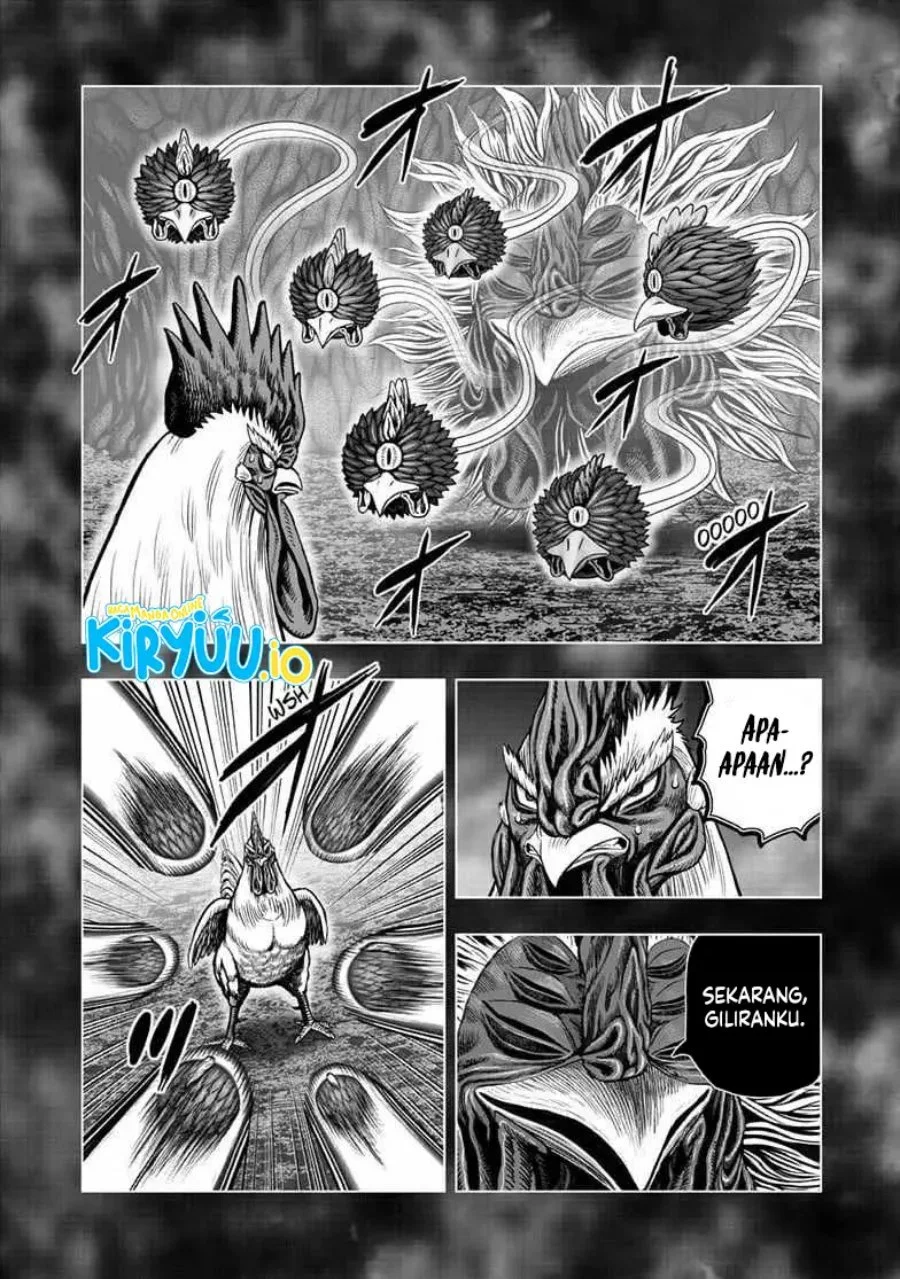 Rooster Fighter Chapter 56 - halaman 11