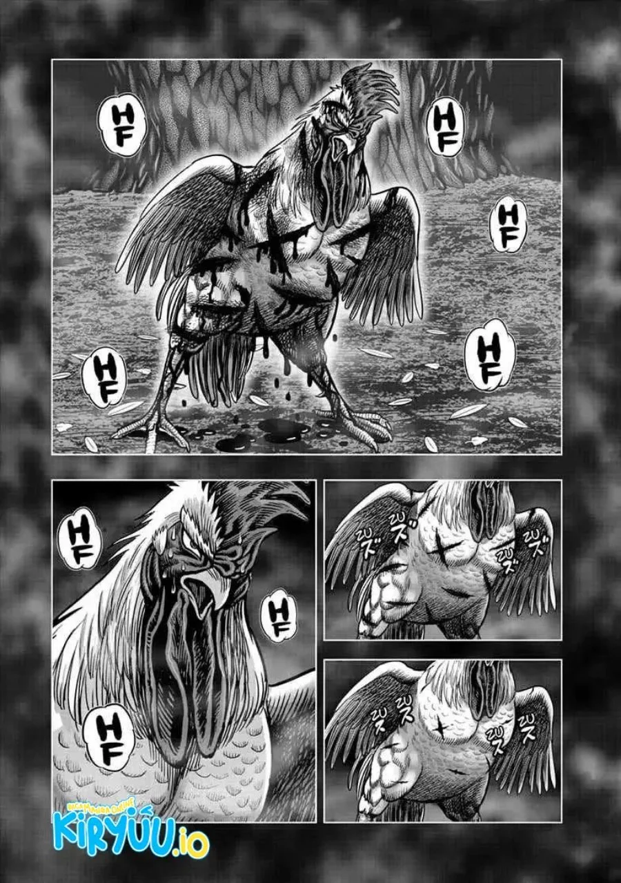 Rooster Fighter Chapter 56 - halaman 14