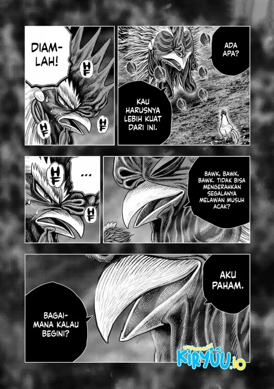 Rooster Fighter Chapter 56 - halaman 15