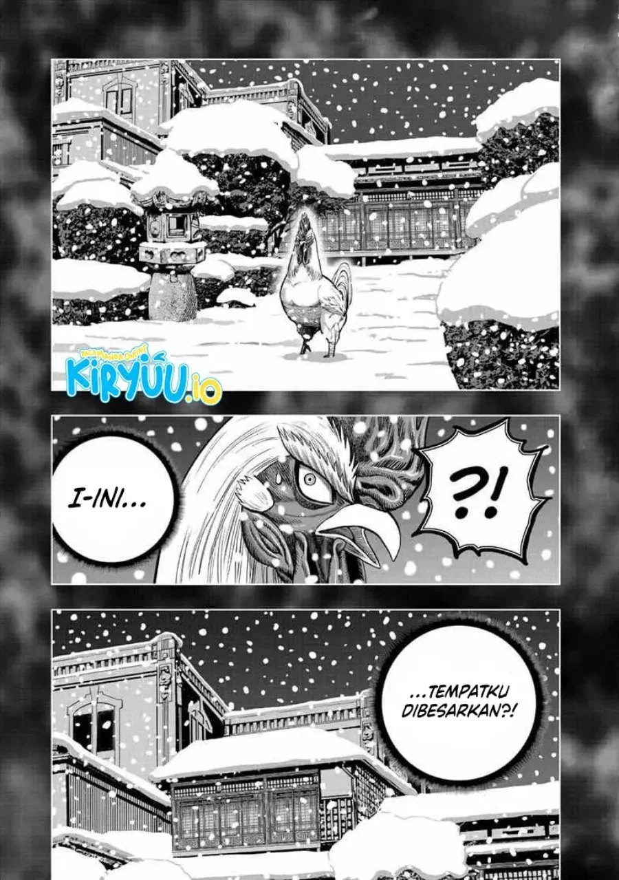 Rooster Fighter Chapter 56 - halaman 16