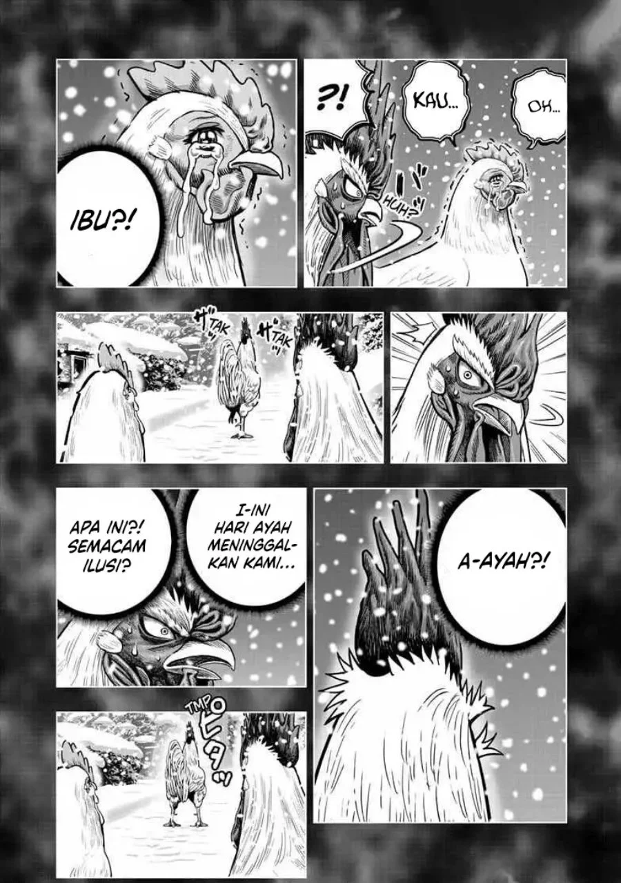 Rooster Fighter Chapter 56 - halaman 17