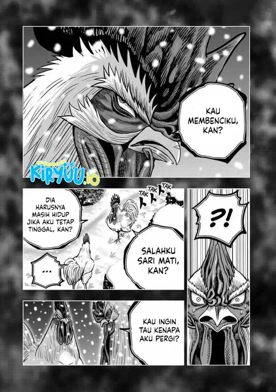 Rooster Fighter Chapter 56 - halaman 18