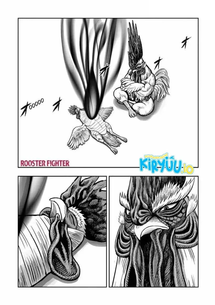 Rooster Fighter Chapter 56 - halaman 2
