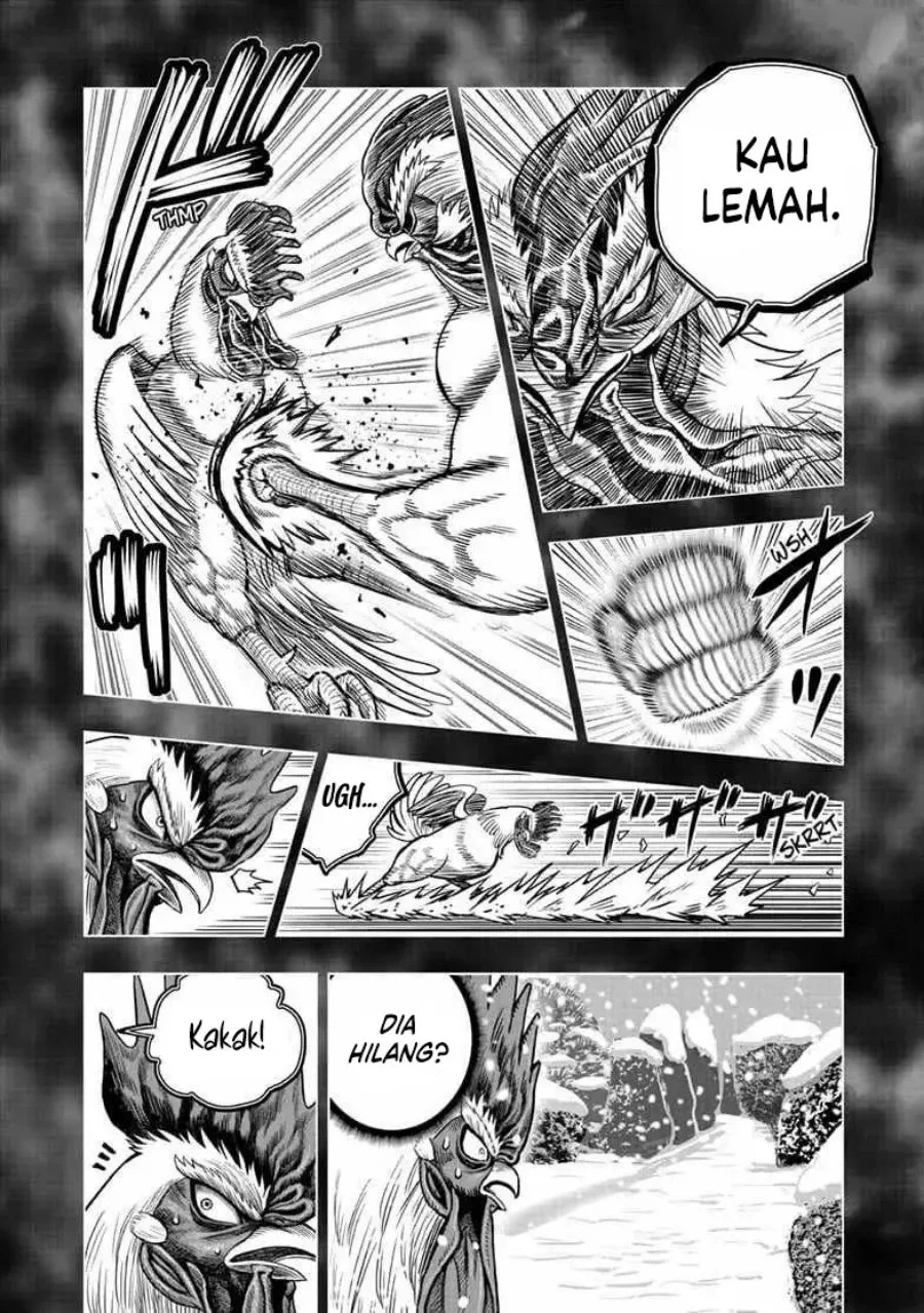 Rooster Fighter Chapter 56 - halaman 21