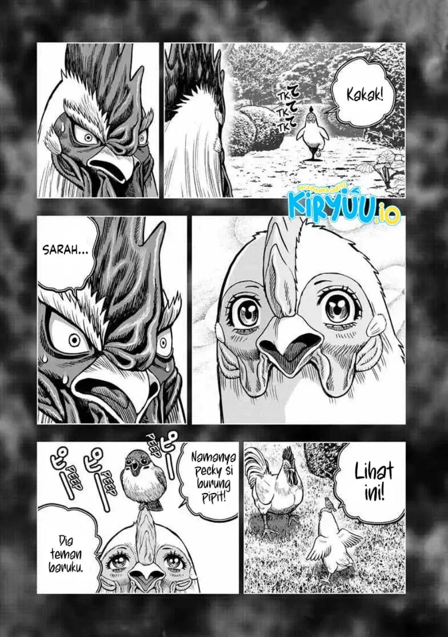 Rooster Fighter Chapter 56 - halaman 22