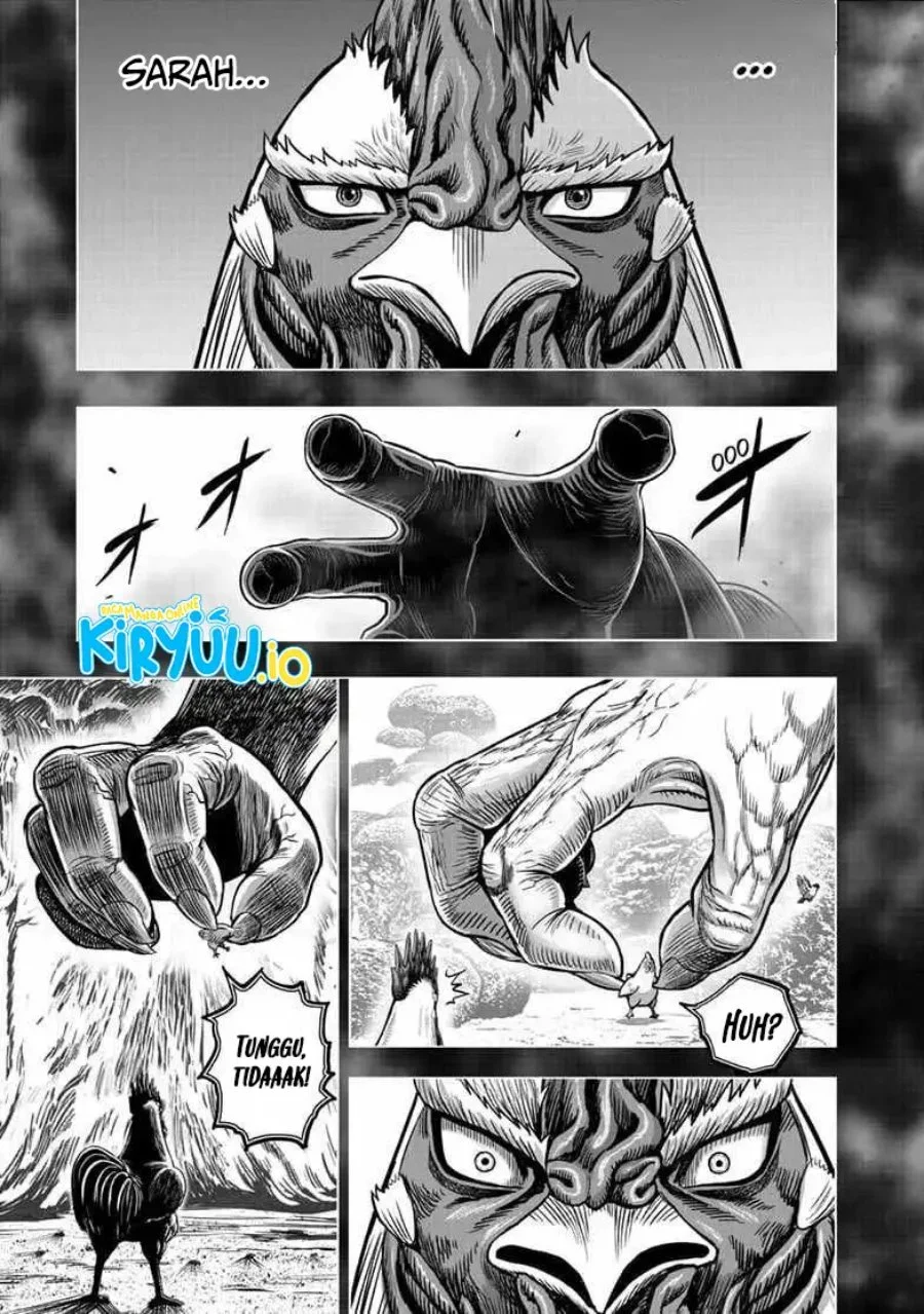 Rooster Fighter Chapter 56 - halaman 24