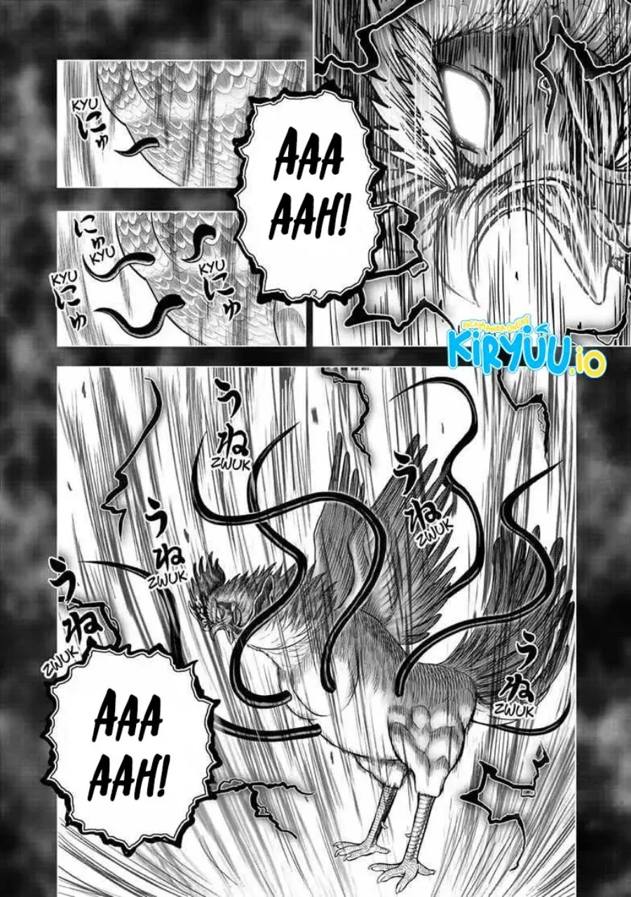 Rooster Fighter Chapter 56 - halaman 31