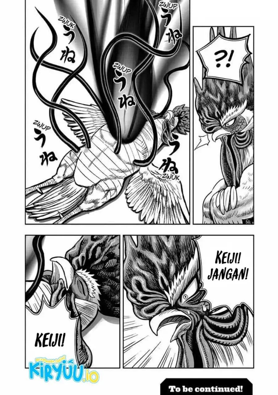 Rooster Fighter Chapter 56 - halaman 33