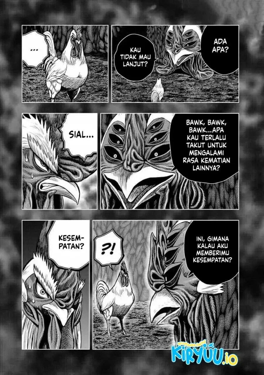 Rooster Fighter Chapter 56 - halaman 4