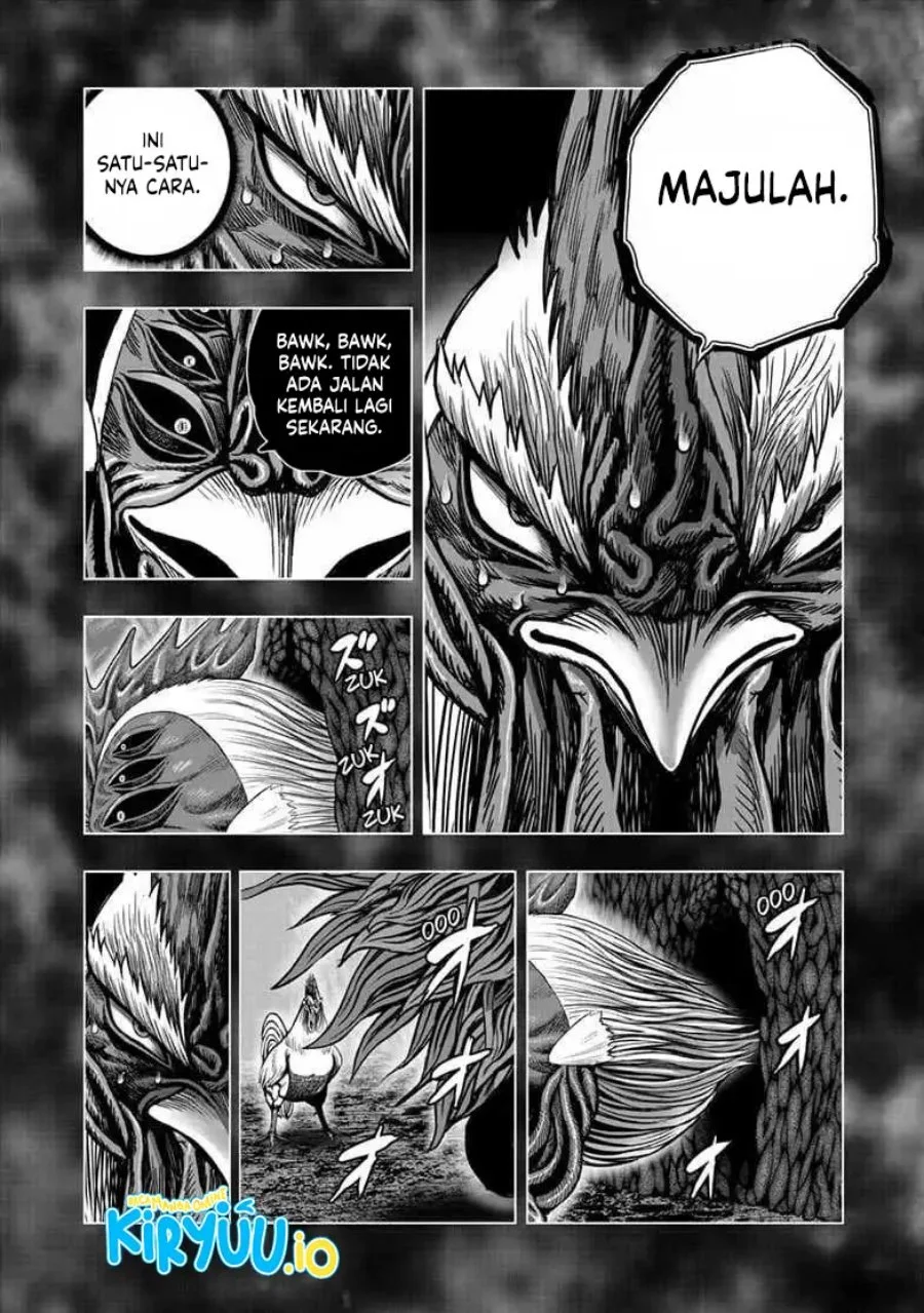 Rooster Fighter Chapter 56 - halaman 7