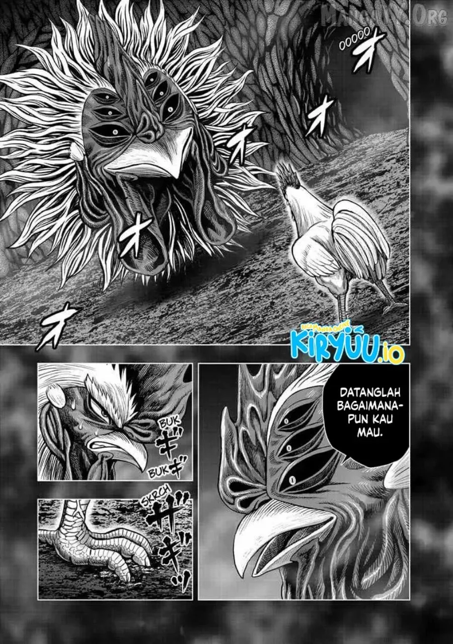 Rooster Fighter Chapter 56 - halaman 8