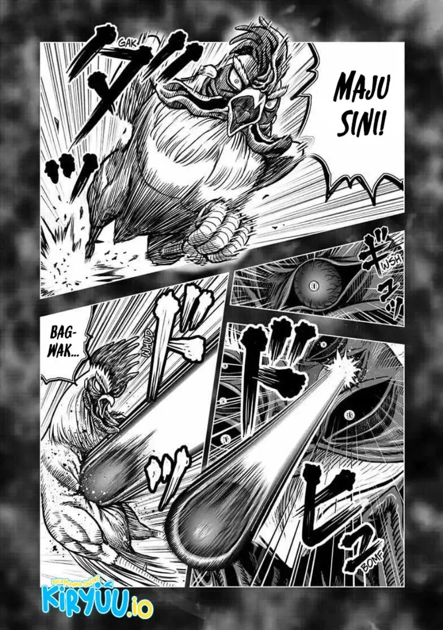 Rooster Fighter Chapter 56 - halaman 9