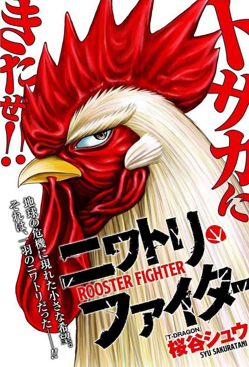 Rooster Fighter Chapter 6 - halaman 1