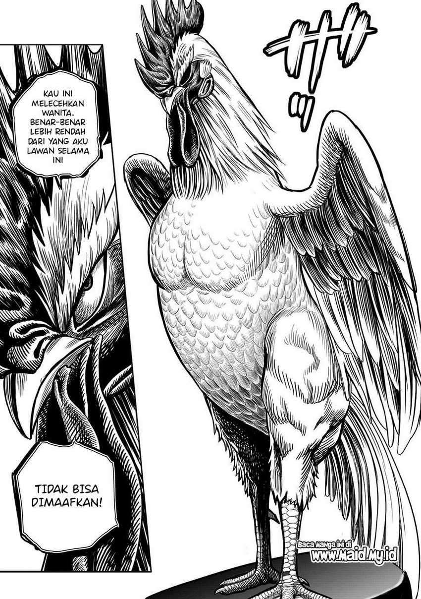 Rooster Fighter Chapter 6 - halaman 13