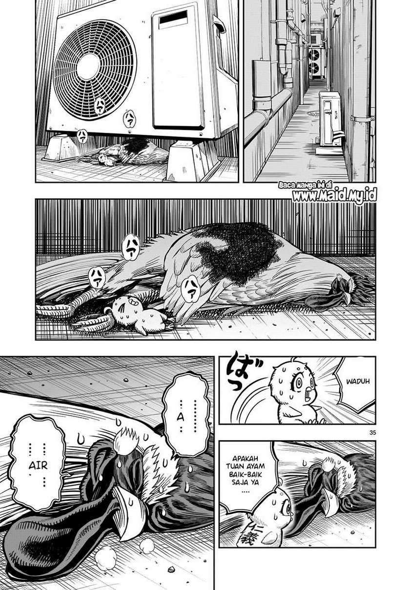 Rooster Fighter Chapter 6 - halaman 37