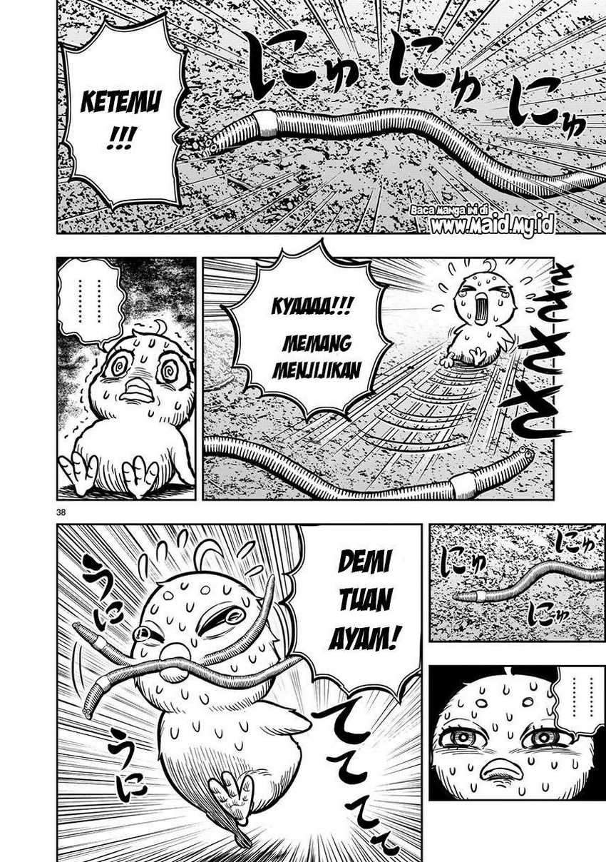 Rooster Fighter Chapter 6 - halaman 40