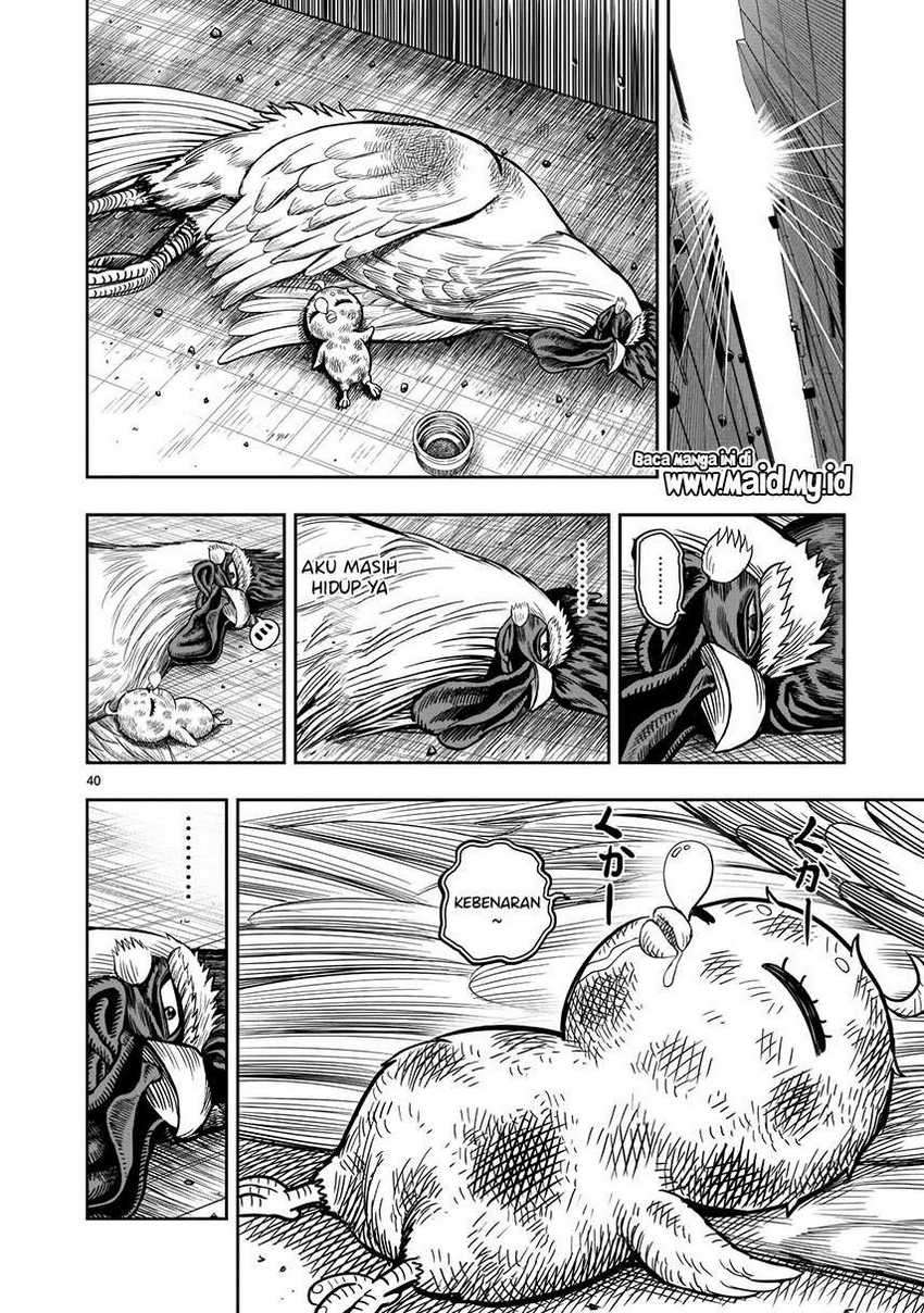 Rooster Fighter Chapter 6 - halaman 42