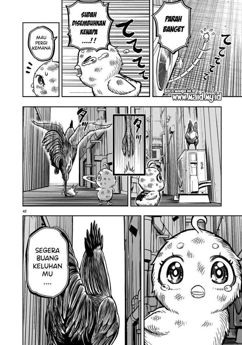 Rooster Fighter Chapter 6 - halaman 44