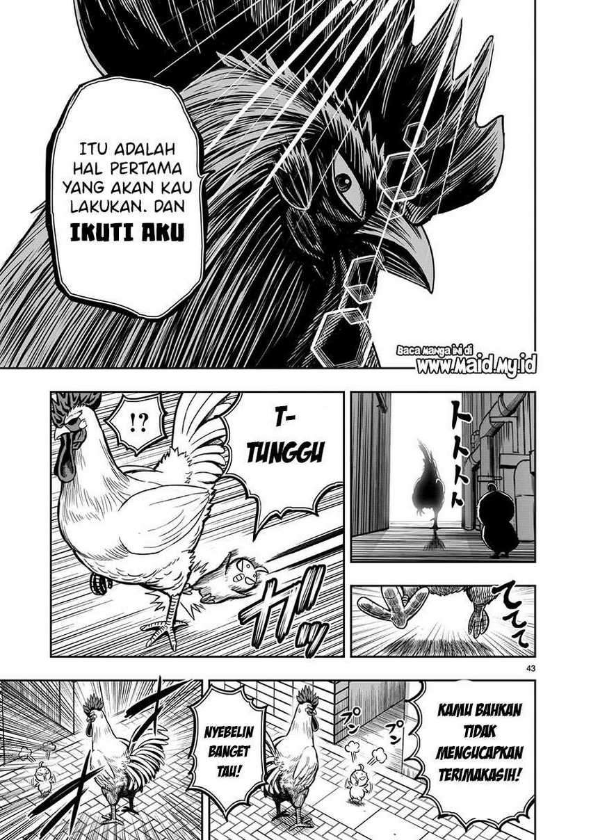Rooster Fighter Chapter 6 - halaman 45