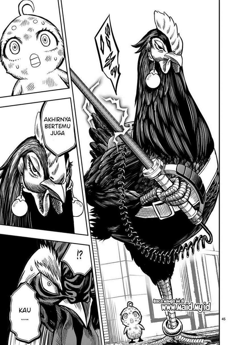 Rooster Fighter Chapter 6 - halaman 47