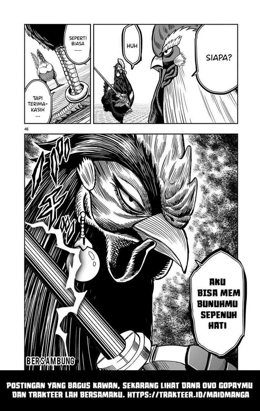 Rooster Fighter Chapter 6 - halaman 48