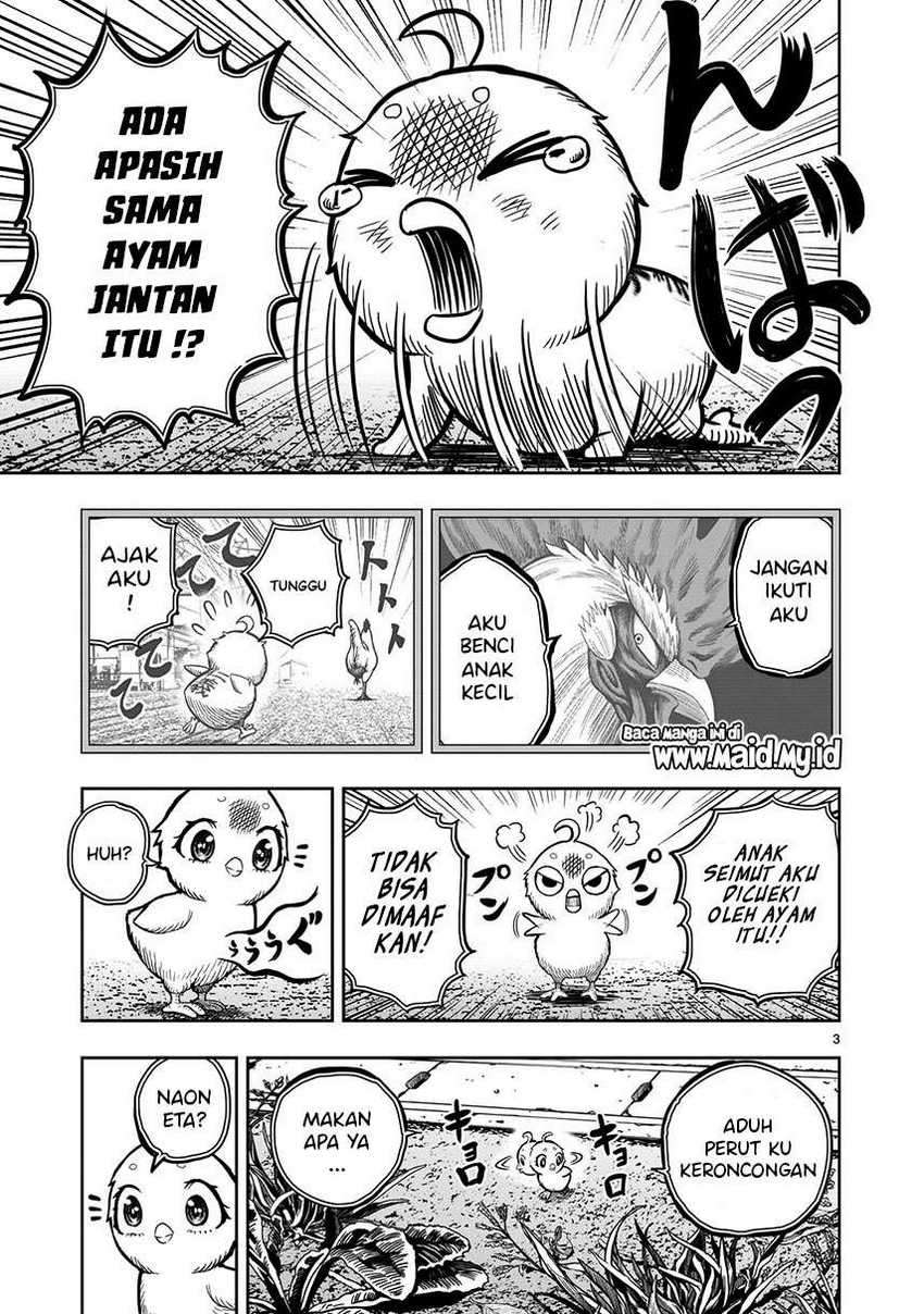 Rooster Fighter Chapter 6 - halaman 5