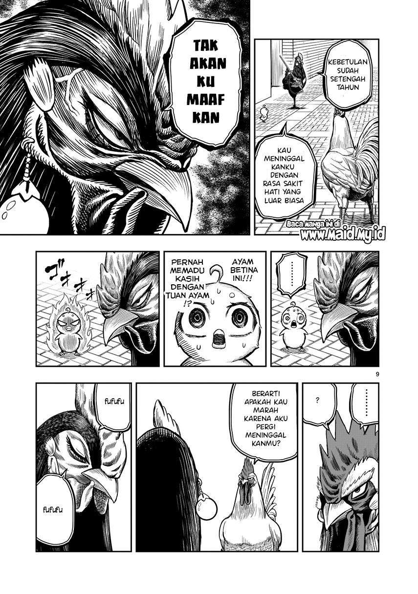 Rooster Fighter Chapter 7 - halaman 11