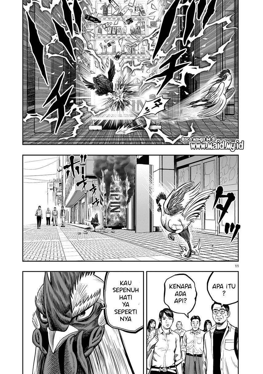 Rooster Fighter Chapter 7 - halaman 13