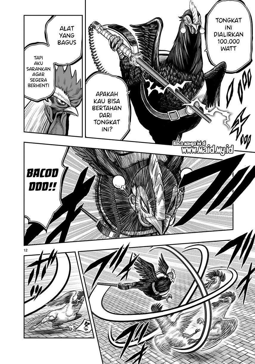 Rooster Fighter Chapter 7 - halaman 14