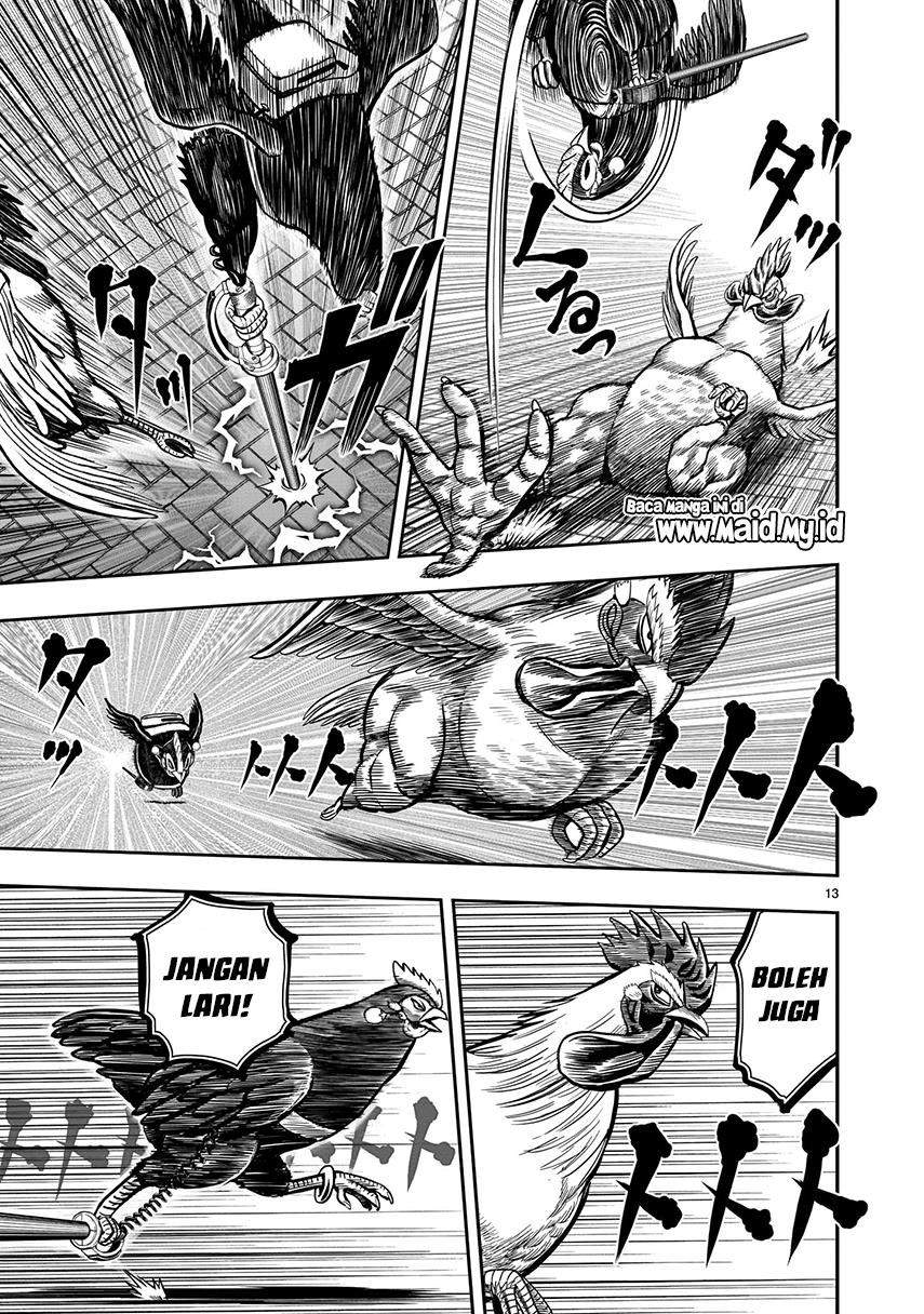Rooster Fighter Chapter 7 - halaman 15