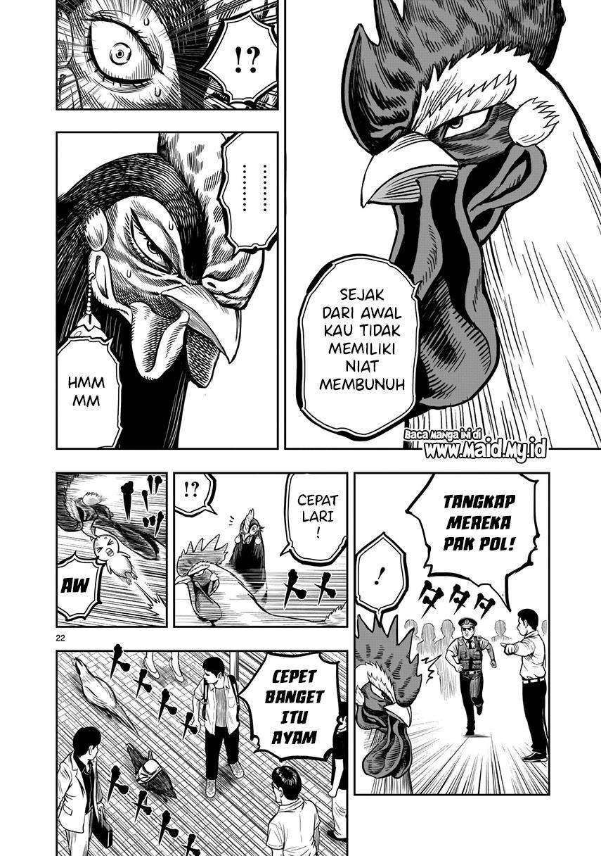 Rooster Fighter Chapter 7 - halaman 24