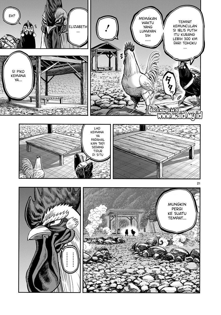 Rooster Fighter Chapter 8 - halaman 23