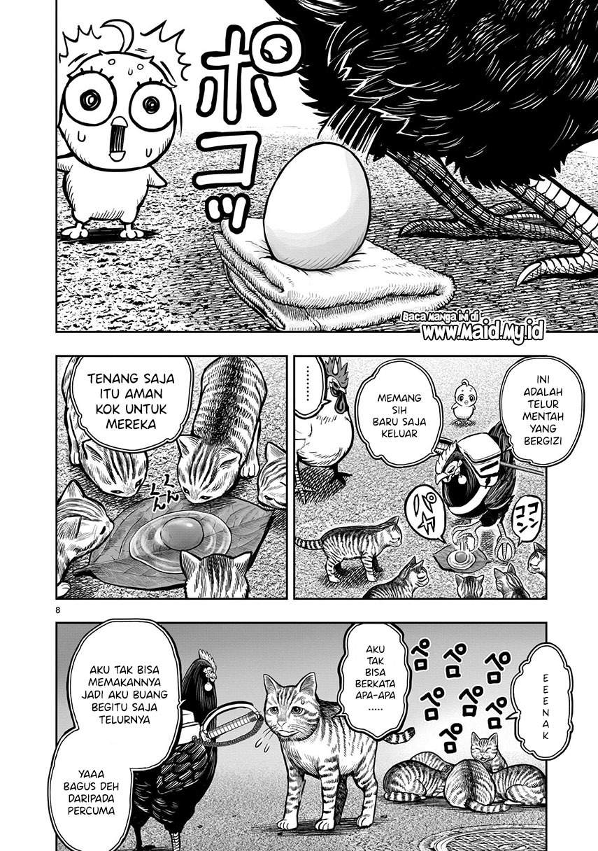 Rooster Fighter Chapter 9 - halaman 10