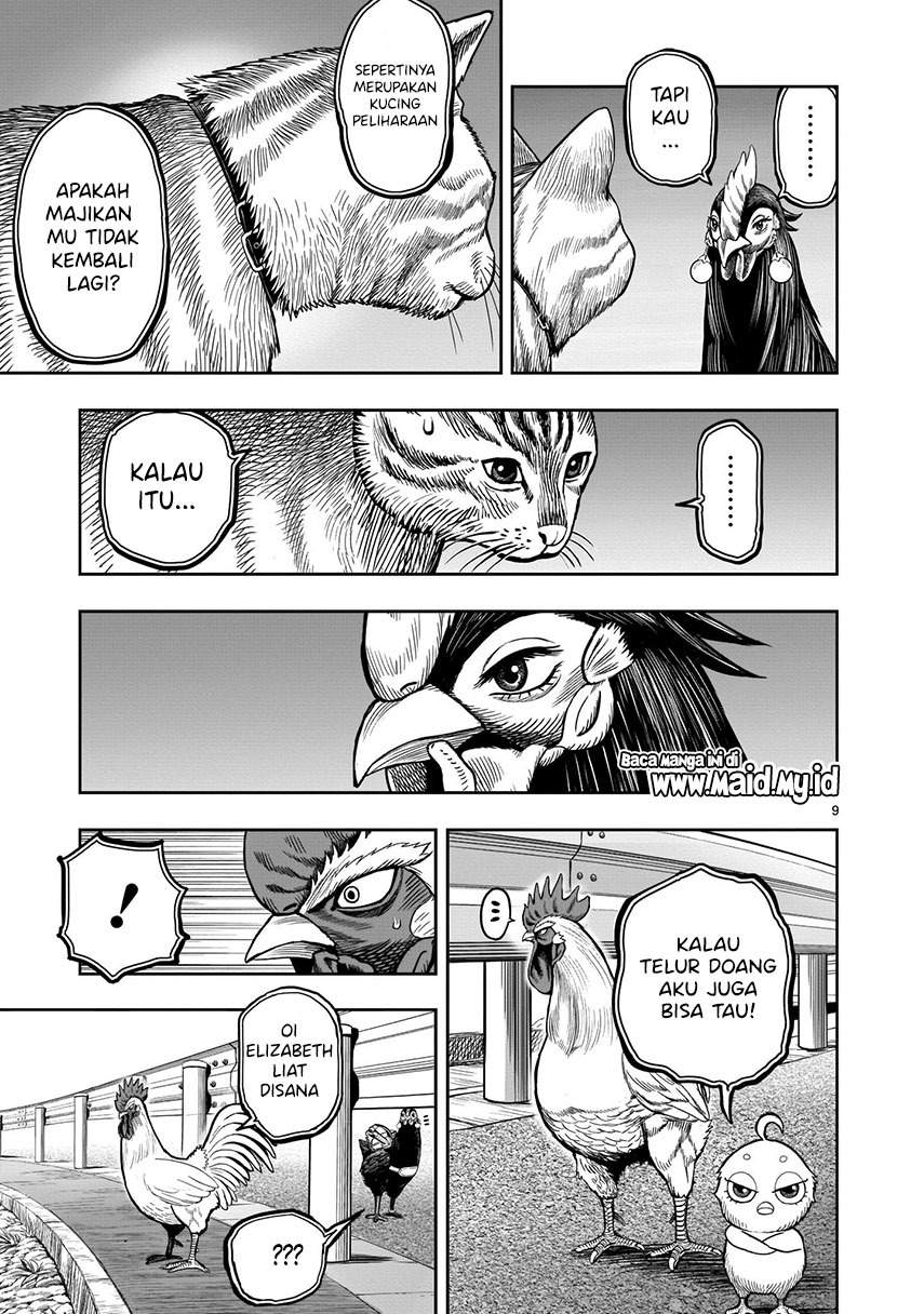 Rooster Fighter Chapter 9 - halaman 11