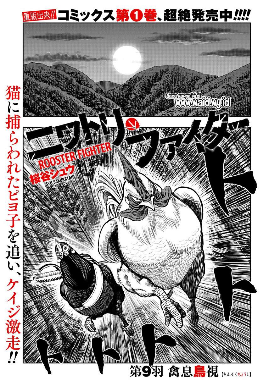 Rooster Fighter Chapter 9 - halaman 3