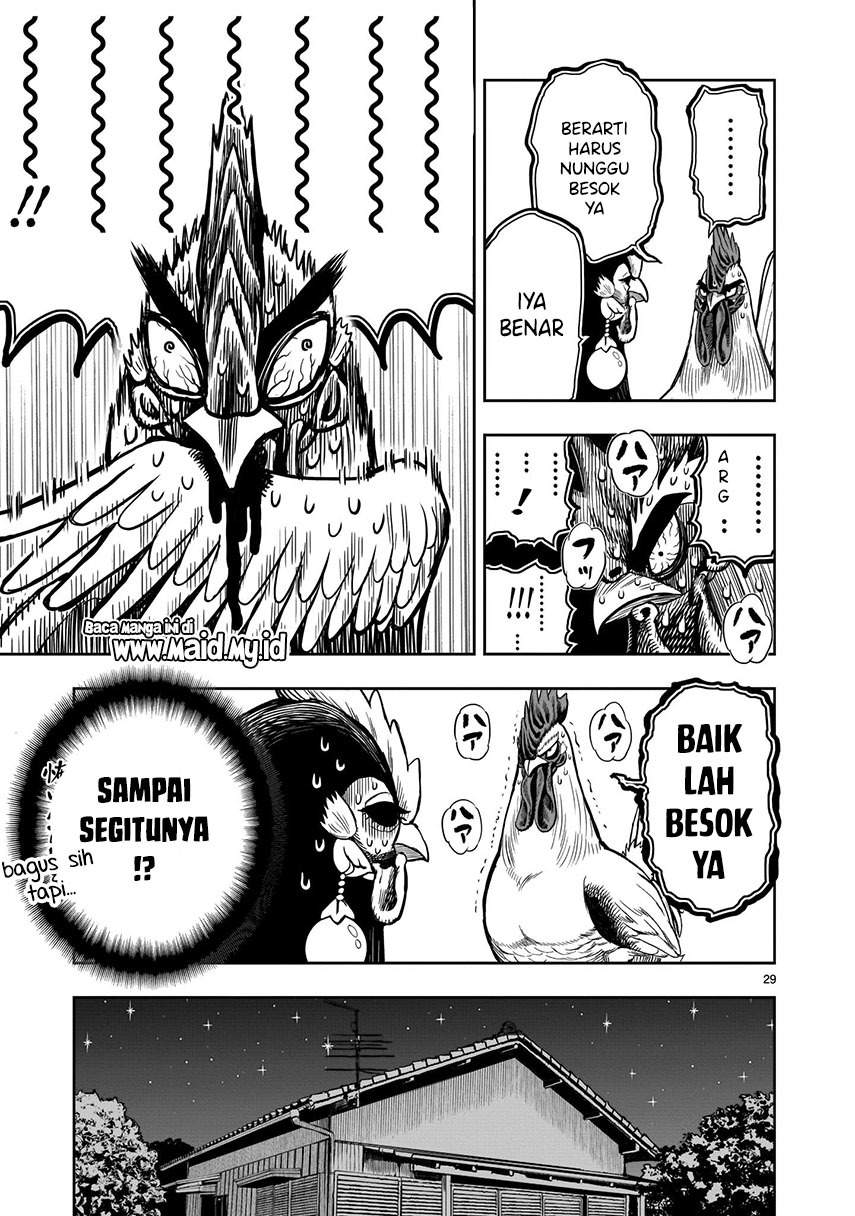 Rooster Fighter Chapter 9 - halaman 31