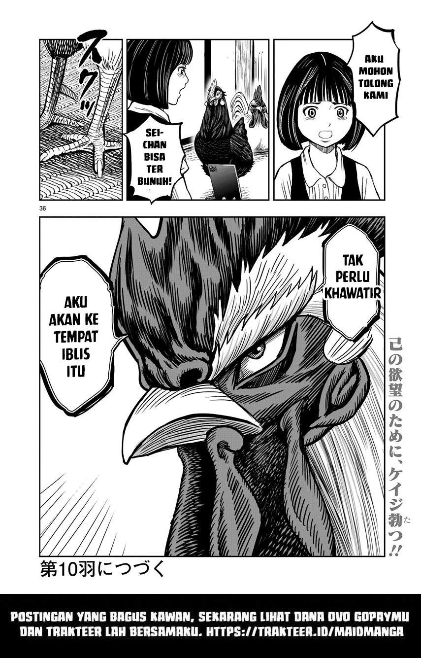 Rooster Fighter Chapter 9 - halaman 37