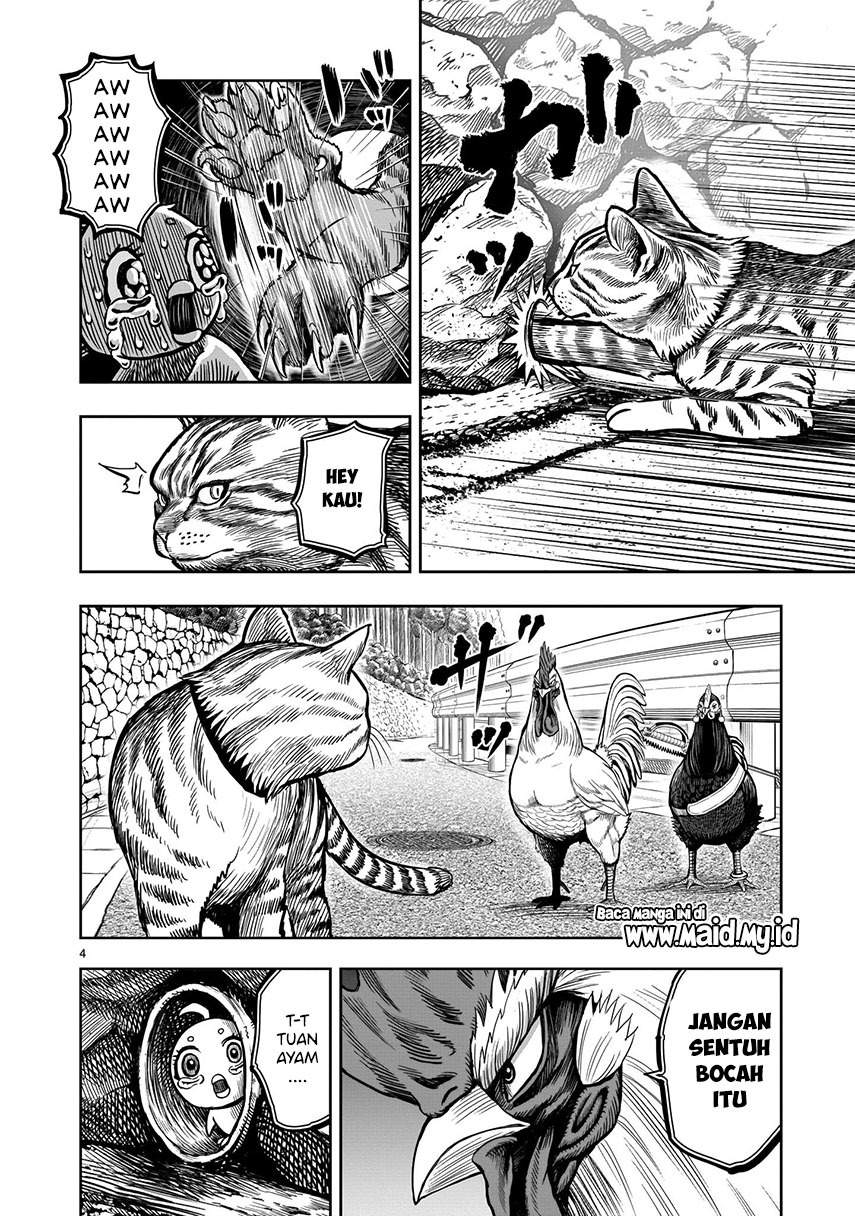 Rooster Fighter Chapter 9 - halaman 6