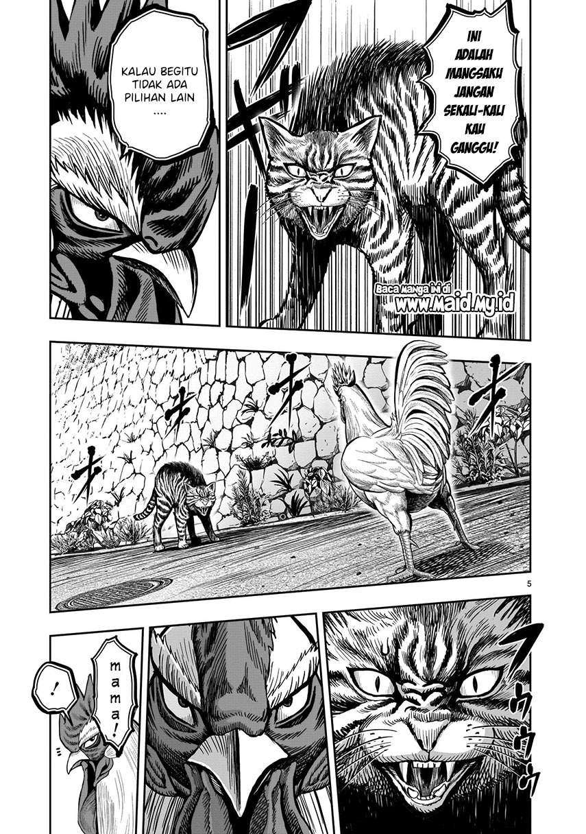 Rooster Fighter Chapter 9 - halaman 7